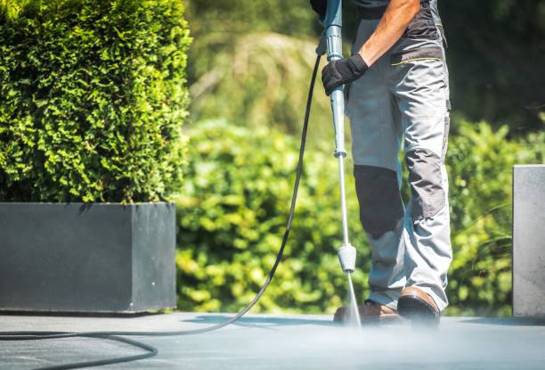 Animal Enclosure Cleaning in Bluff City, TN